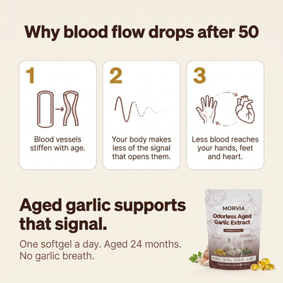 Morvia Aged Garlic Blood Flow Support