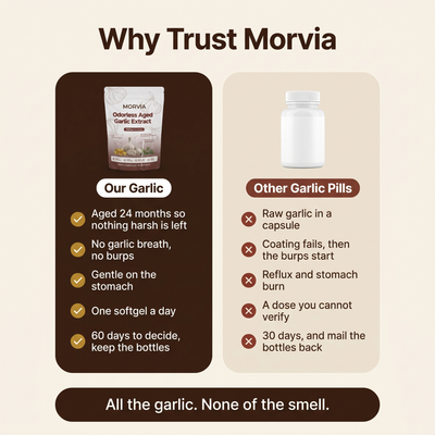 Morvia Aged Garlic Blood Flow Support